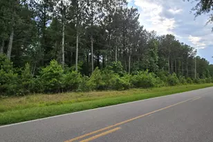 1779 Whichard Cherry Lane Rd, Stokes, NC 27884 - Photo 33