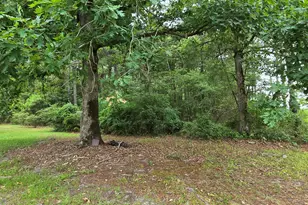 1779 Whichard Cherry Lane Rd, Stokes, NC 27884 - Photo 9