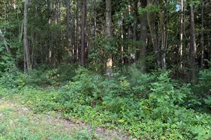 1185 Green Springs Rd, New Bern, NC 28560 - Photo 1