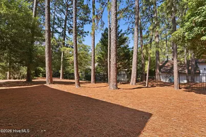 45 Thunderbird Lane, Pinehurst, NC 28374 - Photo 49