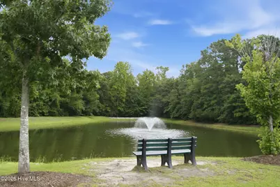 4525 Combs Forest Court, Leland, NC 28451 - Photo 49