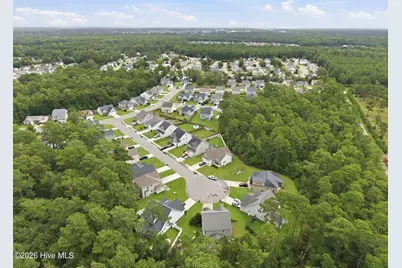 4525 Combs Forest Court, Leland, NC 28451 - Photo 43