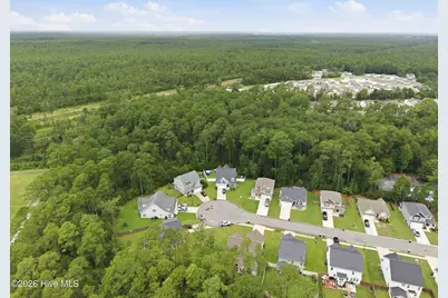 4525 Combs Forest Court, Leland, NC 28451 - Photo 45