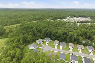 4525 Combs Forest Ct, Leland, NC 28451 - Photo 45
