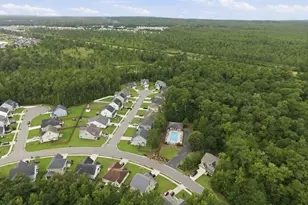 4525 Combs Forest Ct, Leland, NC 28451 - Photo 47