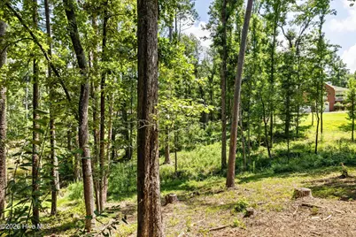 107 Ashwood Drive, North Augusta, SC 29860 - Photo 53