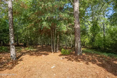 85 Winchester Road, Pinehurst, NC 28374 - Photo 9
