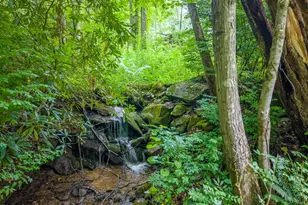 7261 Yellow Creek Rd, Robbinsville, NC 28771 - Photo 45