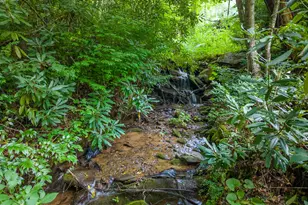 7261 Yellow Creek Rd, Robbinsville, NC 28771 - Photo 43