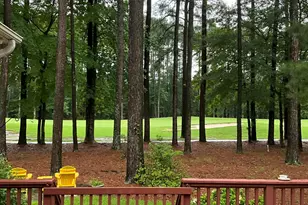 312 Cypress Landing Trail, Chocowinity, NC 27817 - Photo 11