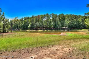 806 Sturbridge Dr, McCormick, SC 29835 - Photo 51