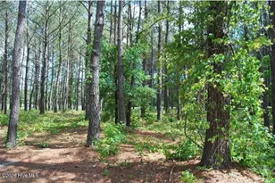 795 Wild Oak Ln NW, Calabash, NC 28467 - Photo 1