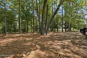 247 Enfield Dr, Carthage, NC 28327 - Photo 47