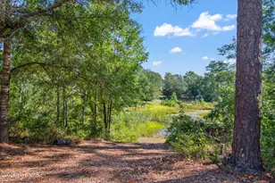 1400 Cottage Ln, Boiling Spring Lakes, NC 28461 - Photo 49