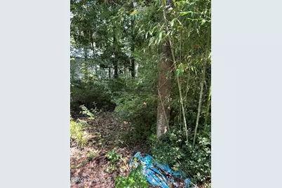 223 Bagley Avenue, Wilmington, NC 28409 - Photo 3