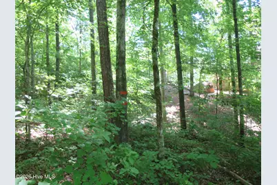205 Rolland Place, McCormick, SC 29835 - Photo 5