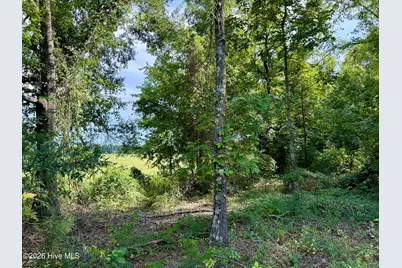 9153 Highway 28 South S, Plum Branch, SC 29845 - Photo 3