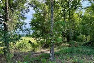 9153 Hwy 28 South S, Plum Branch, SC 29845 - Photo 3