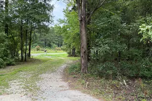 9153 Hwy 28 South S, Plum Branch, SC 29845 - Photo 35