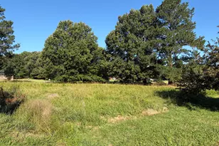 249 Woodland Church Rd, Hertford, NC 27944 - Photo 3