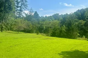7324 &7320 Hwy 294, Murphy, NC 28906 - Photo 7