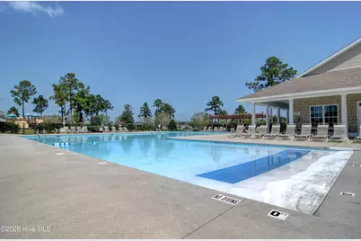 1806 Olive Pine Way, Leland, NC 28451 - Photo 31
