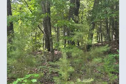 Lot 31 Peak Trail, Murphy, NC 28906 - Photo 3