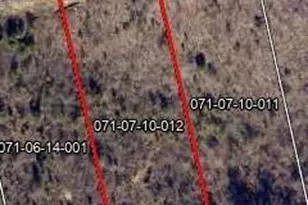 Lot 110 Scentlok Trace, Warrenville, SC 29851 - Photo 1
