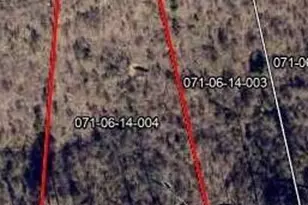 Lot 114 Scentlok Trace, Warrenville, SC 29851 - Photo 1