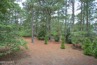 585 Donald Ross Drive, Pinehurst, NC 28374 - Photo 41