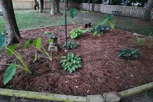 105 Travis Dr, Beaufort, NC 28516 - Photo 61