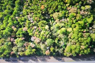 Lot 1 Sr 1178 Hwy, Chocowinity, NC 27817 - Photo 1