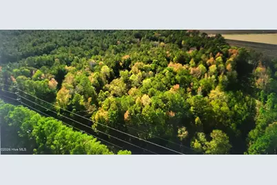 Lot 1 Sr 1178 Highway, Chocowinity, NC 27817 - Photo 5