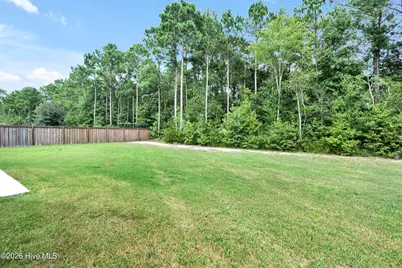 30 Draft Line Court, Hampstead, NC 28443 - Photo 31