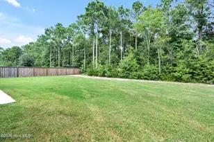 30 Draft Line Ct, Hampstead, NC 28443 - Photo 31