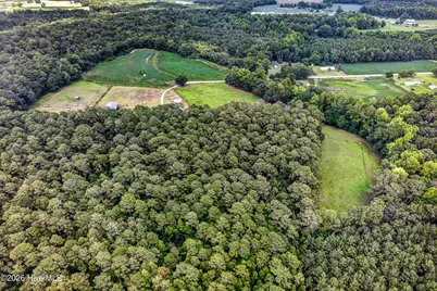 221 Myrtle Sholar Road, Wallace, NC 28466 - Photo 59