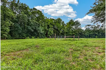 221 Myrtle Sholar Road, Wallace, NC 28466 - Photo 47