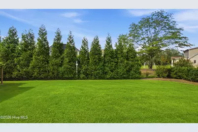 613 Vassar Road, Greenville, NC 27858 - Photo 57