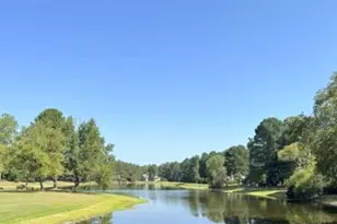 108 Fox Run Ct, West End, NC 27376 - Photo 33