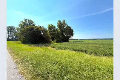 0 US 264, Belhaven, NC 27810 - Photo 5