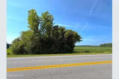 0 US 264, Belhaven, NC 27810 - Photo 3