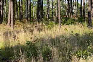 481 N Fort Bragg Rd, Southern Pines, NC 28387 - Photo 1
