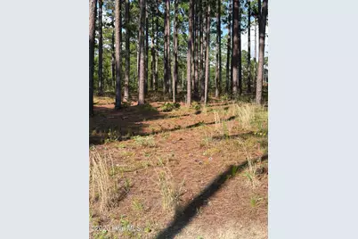 481 N Fort Bragg Road, Southern Pines, NC 28387 - Photo 7