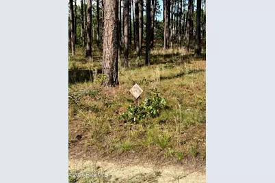 481 N Fort Bragg Road, Southern Pines, NC 28387 - Photo 1