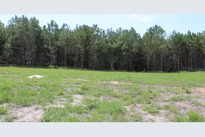 944 Blind Bridge Road, Magnolia, NC 28453 - Photo 11