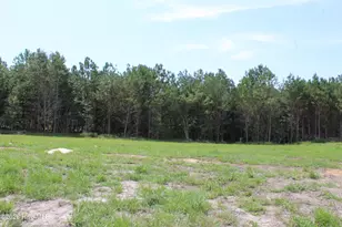 944 Blind Bridge Rd, Magnolia, NC 28453 - Photo 11