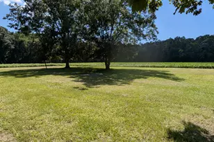 1626 Nathan Roberson Rd, Jamesville, NC 27846 - Photo 11