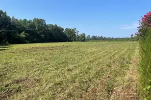 633 Beasleys Rd, Warsaw, NC 28398 - Photo 9