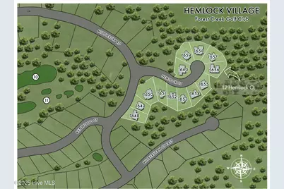 3 Hemlock Court, Pinehurst, NC 28374 - Photo 25