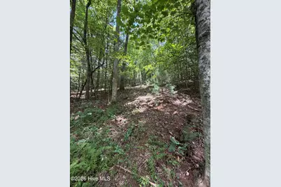 5.85 Ac Emory Shield Road, Murphy, NC 28906 - Photo 15